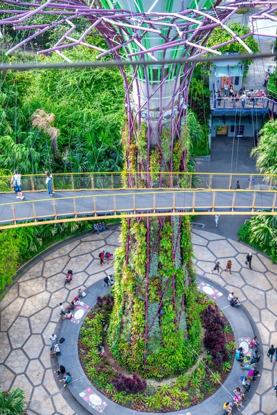Singapore Január 2020 Supertrees Gardens Bay Faszerkezetek Környezetvédelmi Technológiákkal Vannak — Stock Fotó
