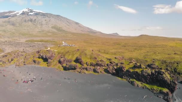 Famous Reynisdrangar rock formations at black Reynisfjara Beach. Coast of the Atlantic ocean near Vik, southern Iceland in summer season from drone — Vídeo de Stock