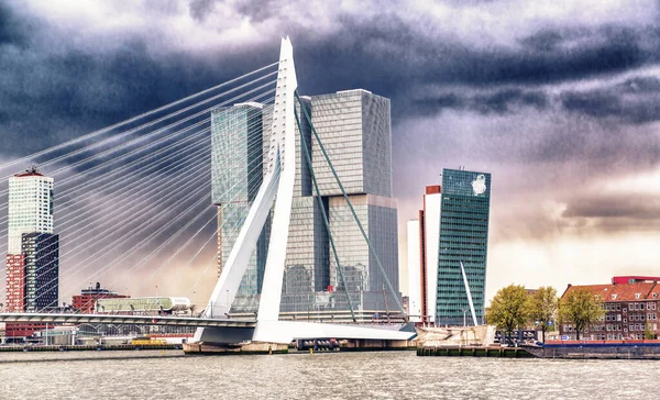 Most Erasmus Přes Řeku Meuse Rotterdamu Nizozemsko — Stock fotografie