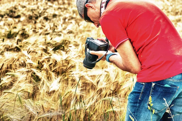 Photographer Taking Pictures Wheat Field Spring Season His Camera — Stock Photo, Image