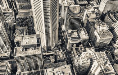 Sydney ufuk çizgisi - Avustralya üzerinde güzel gün batımı.