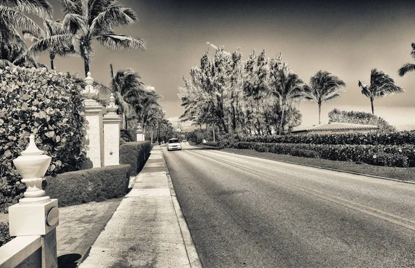 Palmen Und Meer Entlang Der Stadtpromenade Palm Beach Florida — Stockfoto