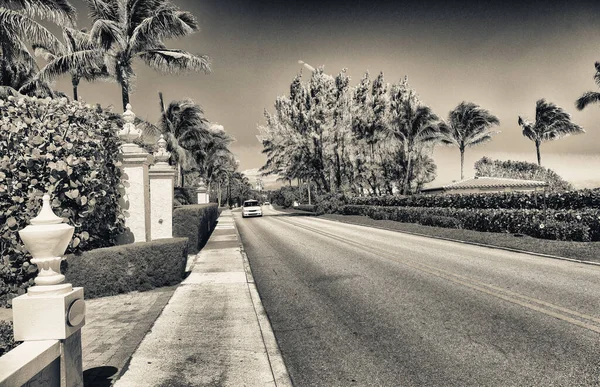 Palmy Oceán Podél Městské Promenády Palm Beach Florida — Stock fotografie