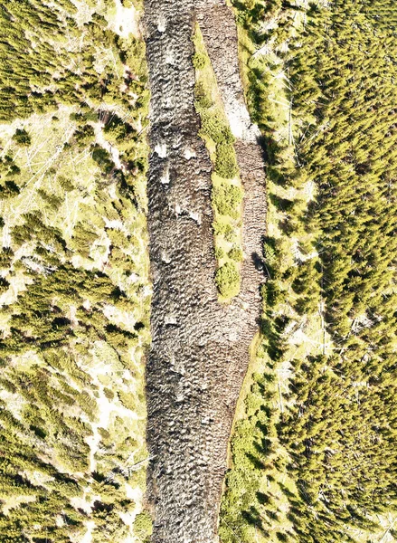 Rzeka Yellowstone Wyoming Widok Lotu Ptaka Dół — Zdjęcie stockowe