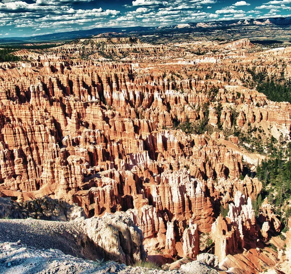 Bryce Canyon National Park Summer Season — Stock Photo, Image