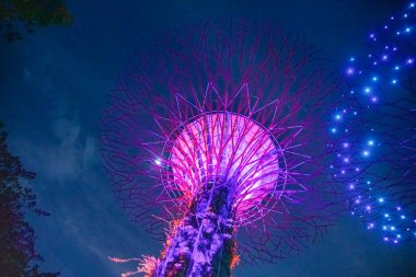 SINGAPORE - 1 HAZİRAN 2020: Bahçe Rhapsody Işık Gösterileri Supertree Grove 'da, Marina Körfezi bölgesindeki Bay şehir parkının yanındaki bahçelerde