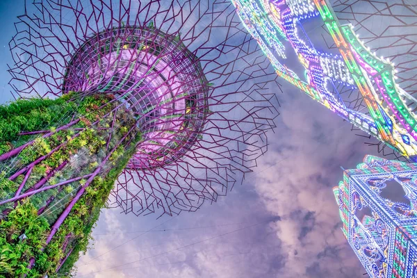 Singapore Januari 1St 2020 Garden Rhapsody Lichtshows Het Supertree Grove — Stockfoto