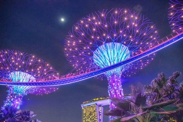 Singapur Enero 2020 Espectáculos Luz Rhapsody Garden Supertree Grove Gardens — Foto de Stock
