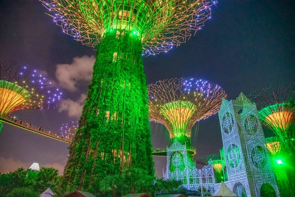 Singapur Enero 2020 Espectáculos Luz Rhapsody Garden Supertree Grove Gardens — Foto de Stock