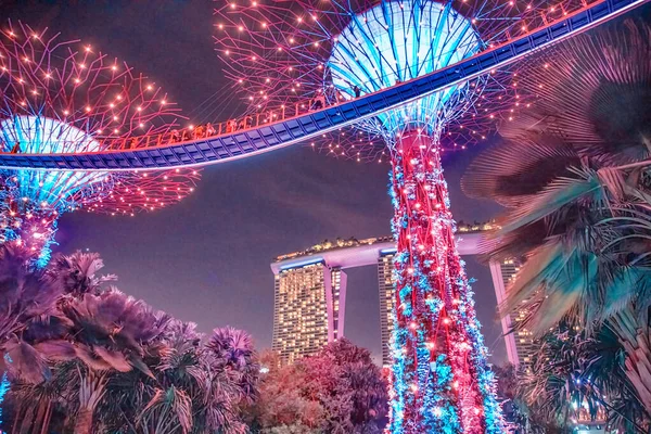 Singapur Enero 2020 Espectáculos Luz Rhapsody Garden Supertree Grove Gardens — Foto de Stock