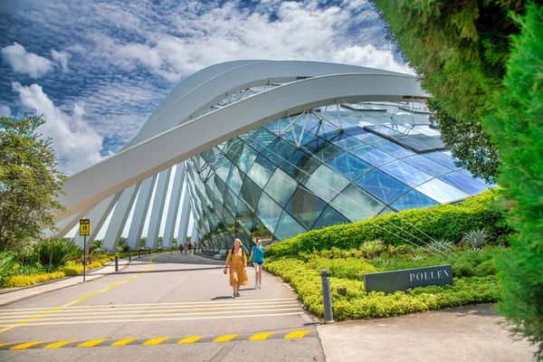 Singapur Enero 2020 Bosque Nuboso Cúpula Flores Los Jardines Junto — Foto de Stock