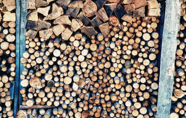 Closeup Logs Trees Nature Lot Cutted Logs — Stock Photo, Image