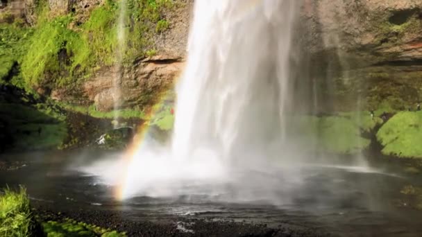 Seljalandsfoss Wasserfälle in der Sommersaison, Island — Stockvideo