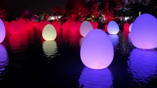 СИНГАПУР - 1 ЯНВАРЯ 2020 года: Погружные огни установки в Садах у залива Сингапур, яйца освещены в озере — стоковое видео