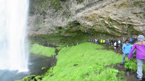 Seljalandsfoss Wasserfälle und Berge im Sommer, Island Zeitlupe — Stockvideo