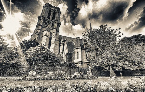 Notre Dame Külső Kilátás Jean Xxiii Park Párizs Franciaország — Stock Fotó