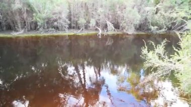 Kanguru Adası Gölü ve bitki örtüsü