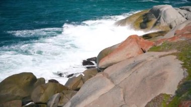 Kanguru Adası, Pennington Körfezi Sahili Güney Avustralya
