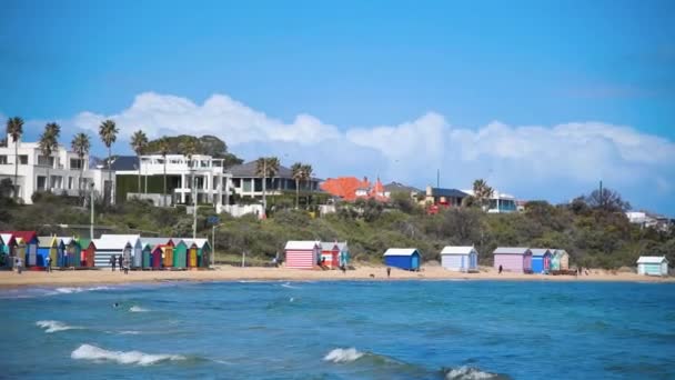 Brighton Beach Australia September 2018 Tourists Enjoy Beautiful Colorful Huts — Stock Video
