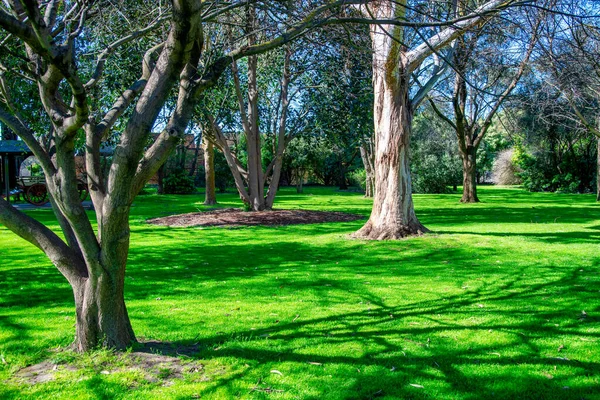 Beauitful Park Umpherston Sinkhole Gambier Australia — стокове фото