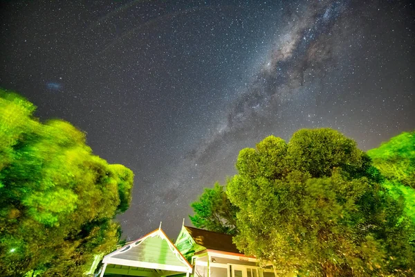 Niesamowita Galaktyka Drogi Mlecznej Nad Sosnami Australia — Zdjęcie stockowe