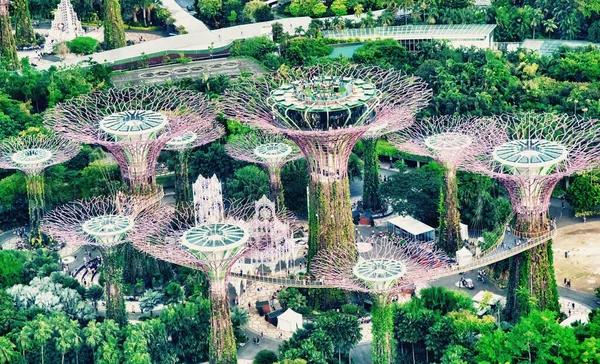 Supertrees at Gardens by the Bay. The tree structures are fitted with environmental technologies