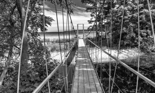 Beautiful Bridge River Forest Landscape Summer Season – stockfoto