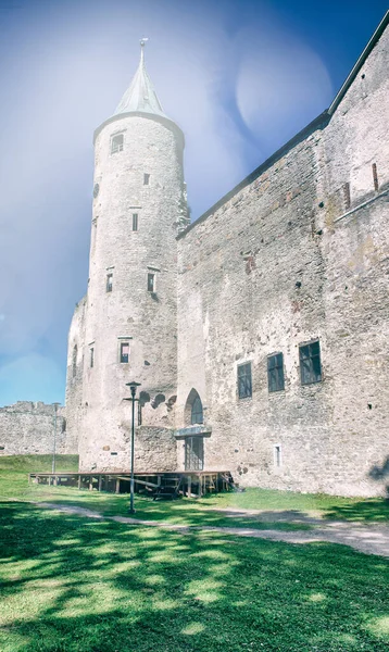 Ruins Haapsalu Episcopal Castle Cannons Front Estonia Summer Season — Stock Photo, Image