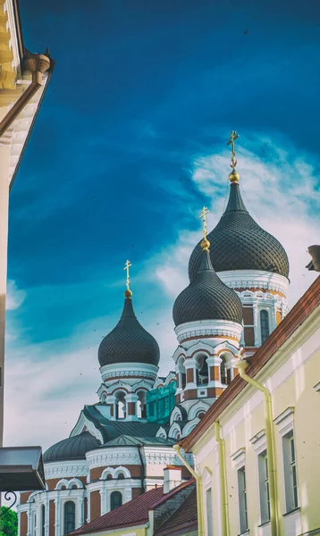 エストニアのタリン旧市街にある正統派の大聖堂 アレクサンダー ネフスキー大聖堂の眺め — ストック写真