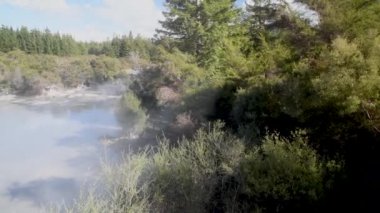 Waiotapu Termal Havuzları, Yeni Zelanda