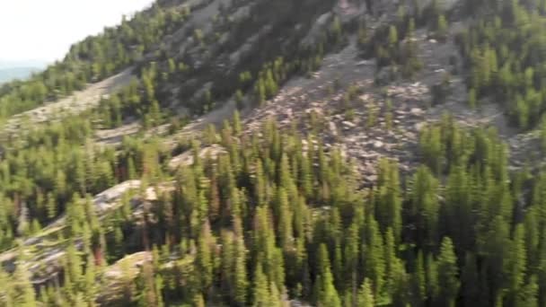 Vista aérea do Lago Jenny no Parque Nacional Grand Teton — Vídeo de Stock