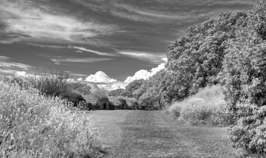 Helsinki 'deki güzel Suomenlinna parkı