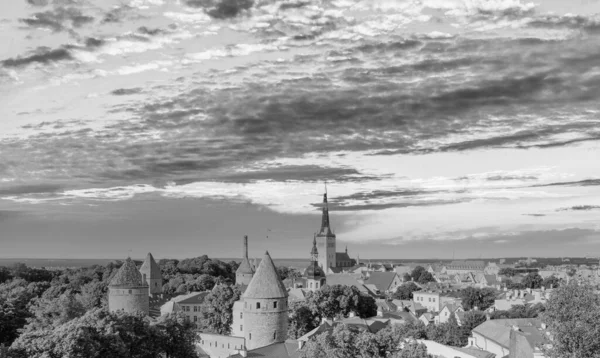 Vista Aérea Panorámica Tallin Atardecer Desde Torre Ciudad Estonia —  Fotos de Stock