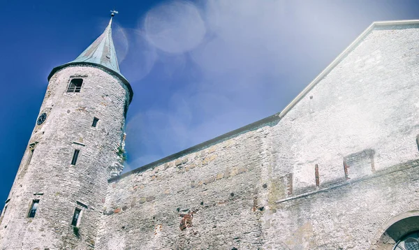 萨帕萨鲁圣公会城堡的废墟和前面的大炮 爱沙尼亚夏季 — 图库照片