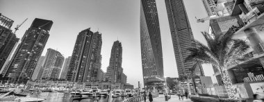 DUBAI, BAE - 5 Aralık 2016: Gece Dubai Marina binaları. Su boyunca gökdelenler