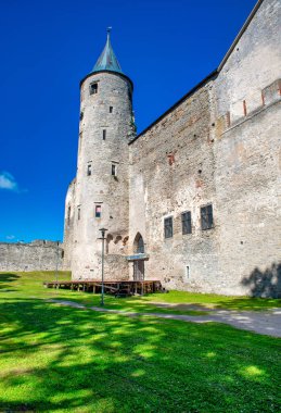 Haapsalu Episcopal Kalesi harabeleri ve önlerinde toplar, yaz mevsiminde Estonya