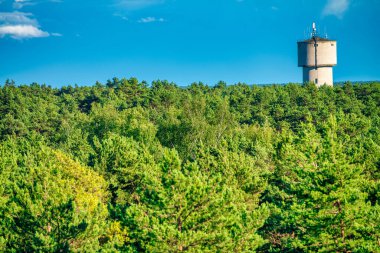 Güzel güneşli bir günde çam ağaçlarının üstünde kule