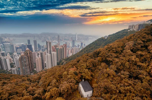 Sonbahar Günbatımında Victoria Tepesi Nden Hong Kong Şehir Merkezi Panoramik — Stok fotoğraf