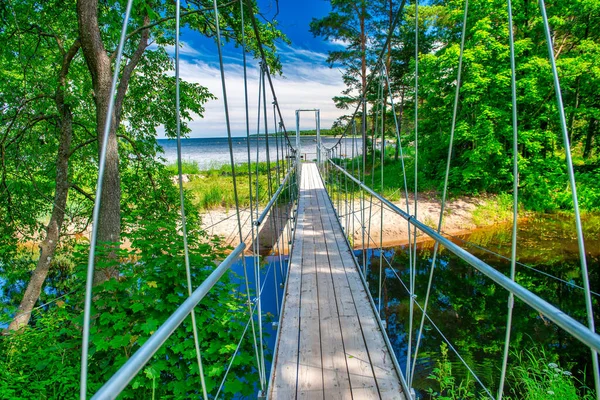 Beautiful Bridge River Forest Landscape Summer Season — Zdjęcie stockowe