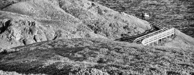 Phillip Adası Vahşi Yaşam Parkı ve Point Grant Güneşli bir öğleden sonra, Avustralya