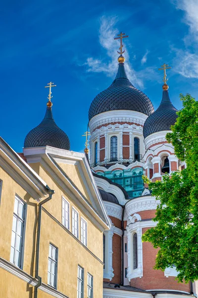 爱沙尼亚塔林老城的一个东正教大教堂亚历山大 内夫斯基大教堂的景观 — 图库照片