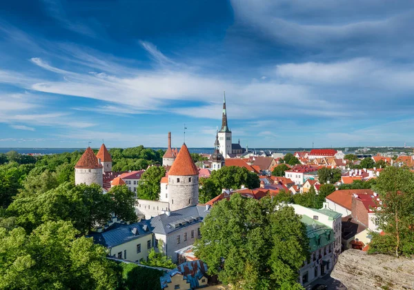 Panoramic Aerial View Tallinn City Hill Estonia — стоковое фото