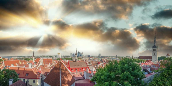 Vedere Aeriană Panoramică Orașului Tallinn Apusul Soarelui Din Turnul Orașului — Fotografie, imagine de stoc