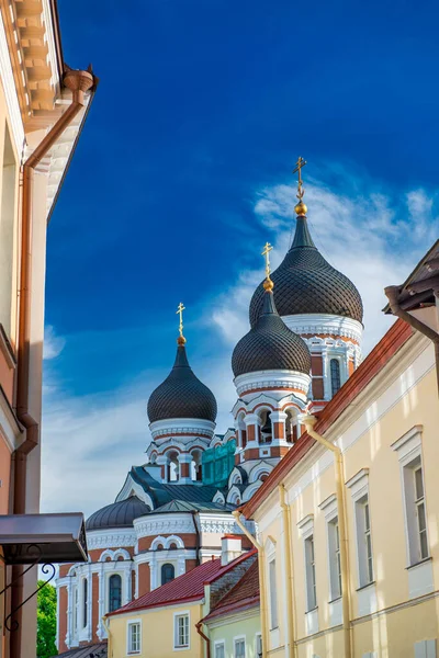 Vista Catedral Alexander Nevsky Uma Catedral Ortodoxa Cidade Velha Tallinn — Fotografia de Stock