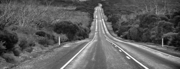 Camino Través Isla Canguro Australia — Foto de Stock