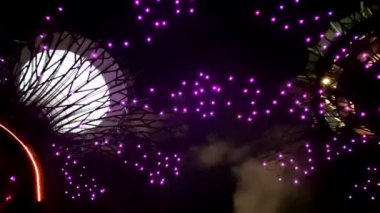 ŞARKI - 1 HAZİRAN 2020: Gece Marina Körfezi 'nde Supertree Işık Gösterisi