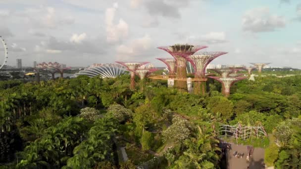 Singapore från luften. Trädgårdar vid Bay Park i Marina Bay området på en vacker solig eftermiddag — Stockvideo