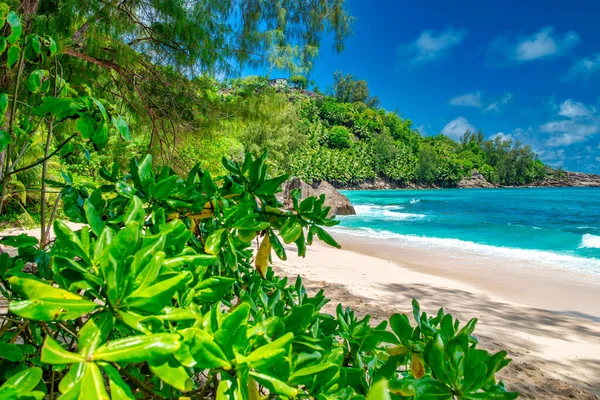Anse Intendance Beach Mahé Seychelles Szigetek — Stock Fotó