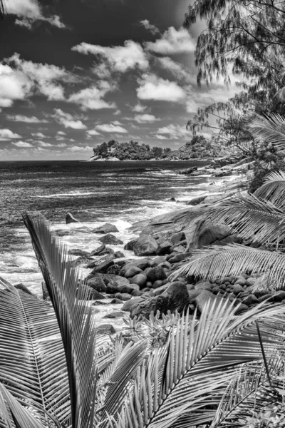 Rocks Trees Ocean Beautiful Sunny Day Seychelles — Stock Photo, Image