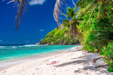 Mahe, Seyşeller 'deki Anse Royale Sahili